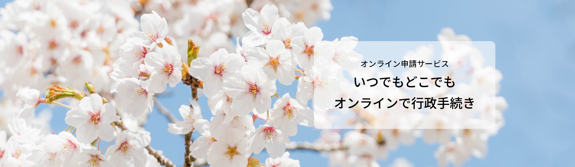 TOP画像